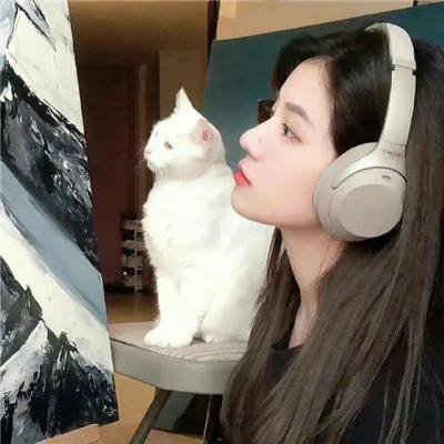 歌舞青春